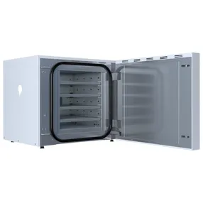 шкаф лабораторный сушильный dion siblab 200с/250л